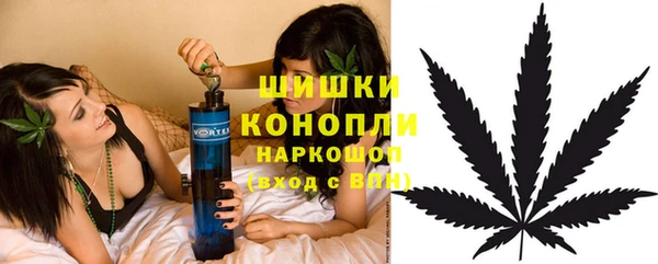 мдма Заводоуковск