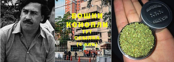 мдма Заводоуковск