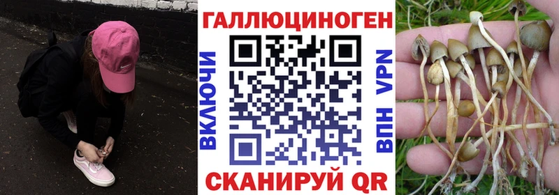 наркотики  Сретенск  Галлюциногенные грибы прущие грибы 